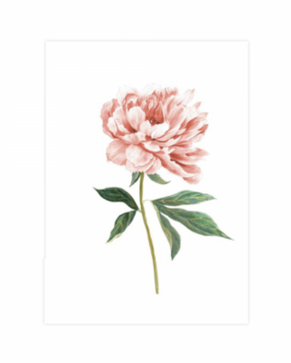 Cartolina - mini poster Autumn Tale, Peony, A5