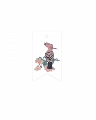 Etichetta  Hoopoe, Enchanted forest, Manilla