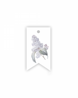 Etichetta  Bloom, Lilac, Manilla