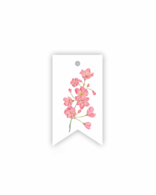 Etichetta Blossom Sakura, Manilla