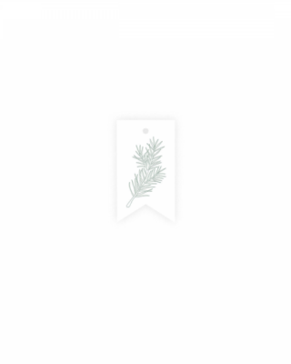 Etichetta Spruce, Foliage, Manilla