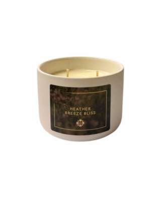 Manilla candela cera soya, profumo Erica